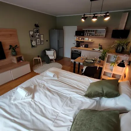 & Burgers Rezidenca Pipanova 4* Ljubljana