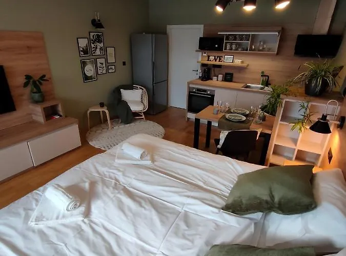 & Burgers Rezidenca Pipanova 4* Любляна