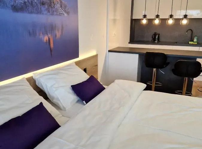 & Burgers Rezidenca Pipanova 4*