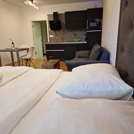 Appart hôtel & Burgers Rezidenca Pipanova Ljubljana