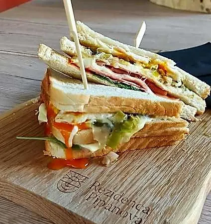 Apartmanhotel & Burgers Rezidenca Pipanova Ljubljana