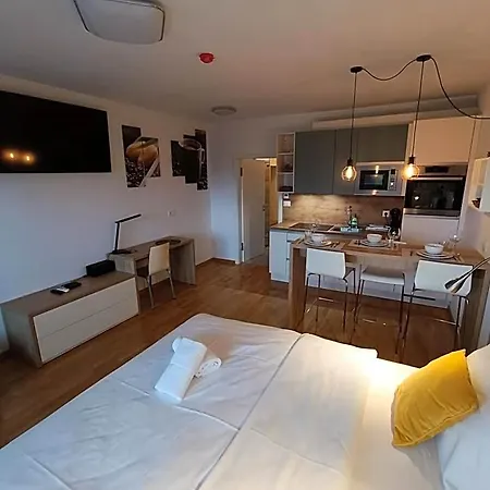 Apartmanhotel & Burgers Rezidenca Pipanova Ljubljana