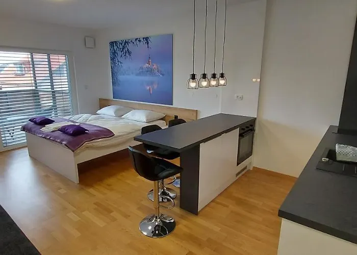 & Burgers Rezidenca Pipanova Апарт-отель Любляна