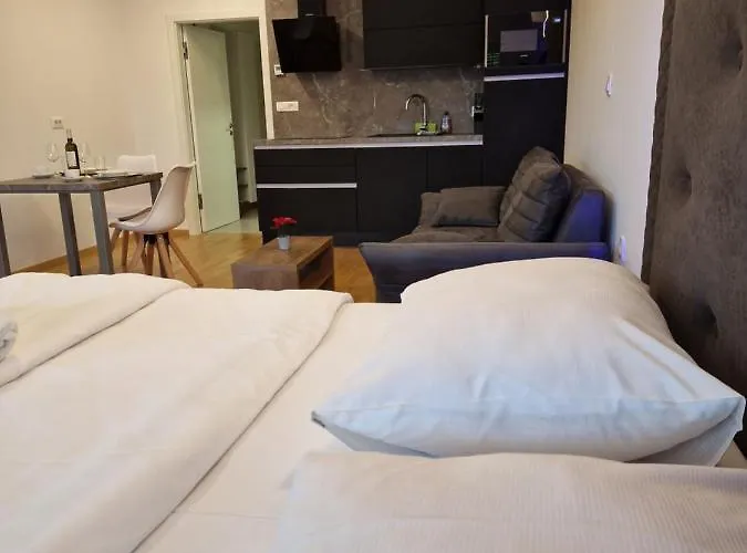 Hotel apartamentowy & Burgers Rezidenca Pipanova Lublana